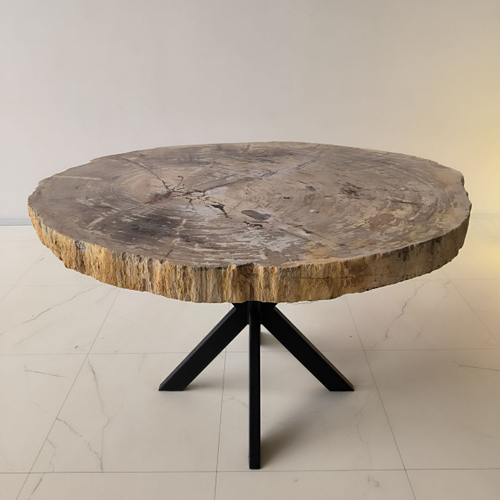 Столешница из окаменелого дерева ST-64170 Джоко (0135) 90*76*6