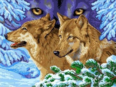 К-6024 Волчий взгляд