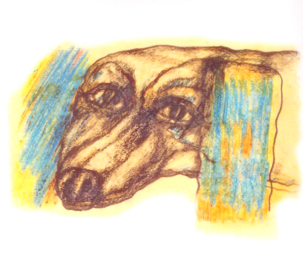 Dolphin / Звезда (2LP)