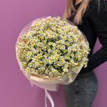 Букет из 19 матрикарий #10