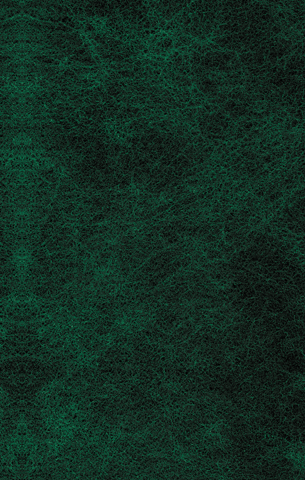 Жюстина, или Несчастья добродетели