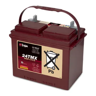 Аккумуляторы Trojan 24TMX - фото 1