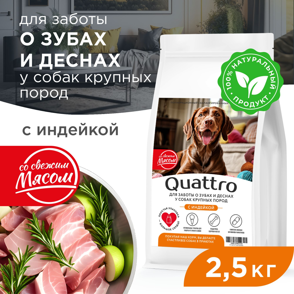 Корм сухой для взрослых собак крупных пород, премиум полнорационный комплекс, для заботы зубов и десен, с индейкой, 2,5 кг, QUATTRO