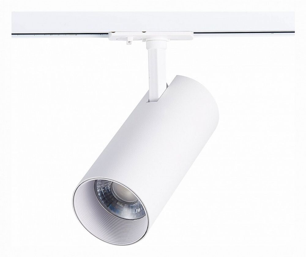 Светильник на штанге ST-Luce Mono ST350.546.30.36