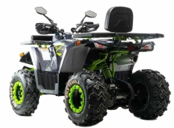 Квадроцикл Motoland 200 WILD TRACK X WINCH (баланс. вал)