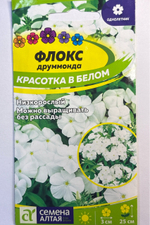 Флокс Красотка в белом друммонда 0,1 г СМЦ-284