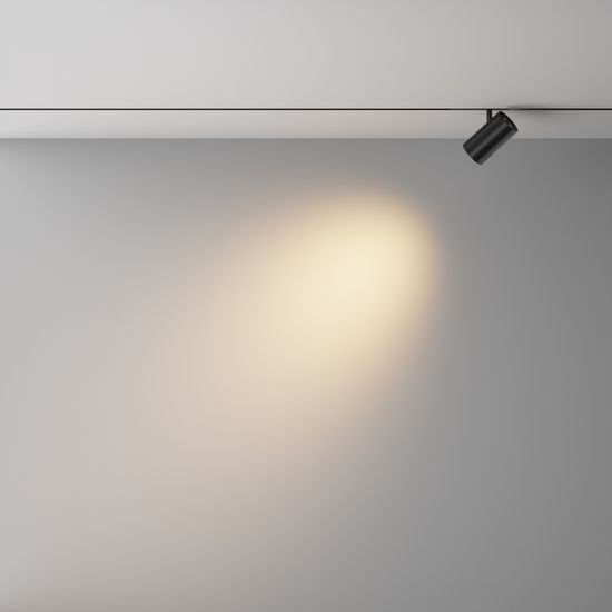 Трековый светильник Technical TR243-4-12WTW-DSZ-B