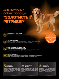 Корм сухой для пожилых собак породы Золотистый ретривер старше 5 лет, с индейкой, 12 кг, QUATTRO