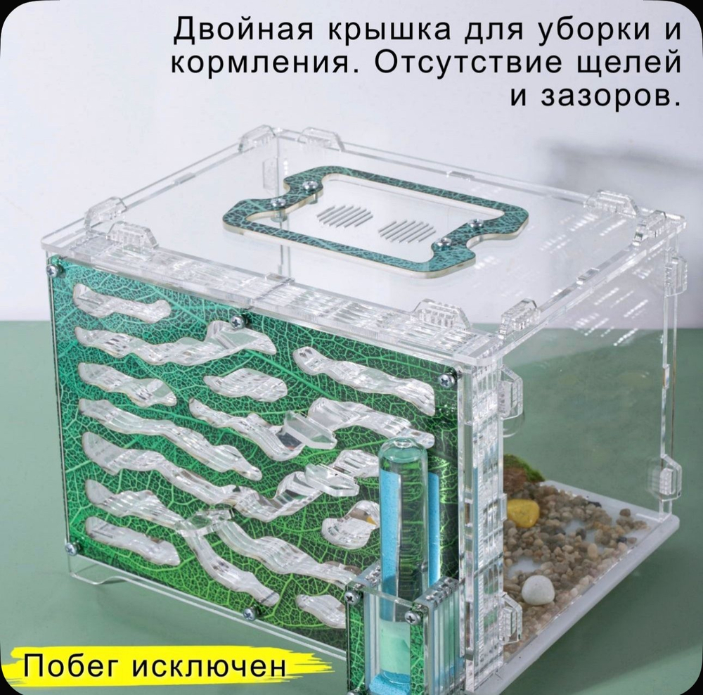 Большой Формикарий «Джунгли» с муравьями в подарок