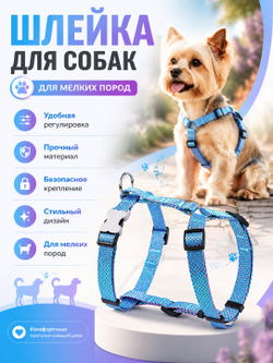 Шлейка NEO 1.5 см голубая