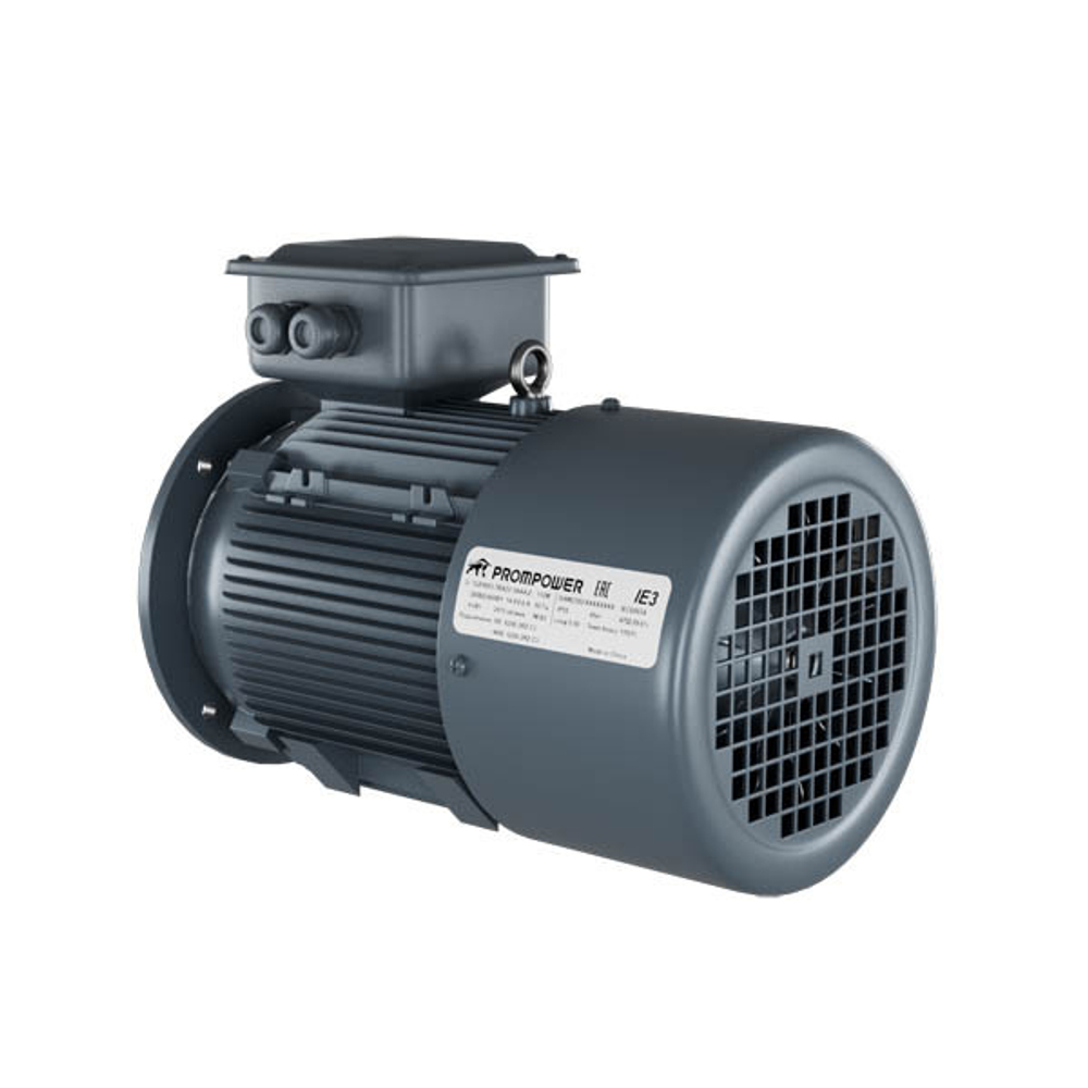 Асинхронный двигатель Prompower 1LE9, 0.75 кВт, 1500 об/мин, 220/380 В, 1LE93030DB321FA4