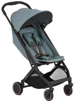 Детская прогулочная коляска Anex Air-X2 Sky