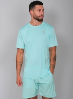 Мужская футболка RS Performance Tee Ace Blue/Clay (211M000313/441)