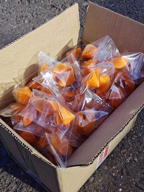 Печенье с предсказаниями оранжевого цвета 300 шт.