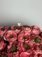 Коралловая любовь