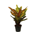 Растение искусственное Кротон 30 см DIY-SY047