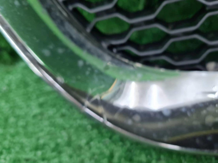 Решетка радиатора Jaguar F-PACE (2016-2020)