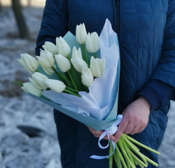 15 тюльпанов в упаковке