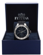 Мужские наручные часы Festina F16611/3