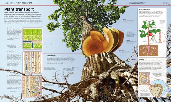 Knowledge Encyclopedia
Science