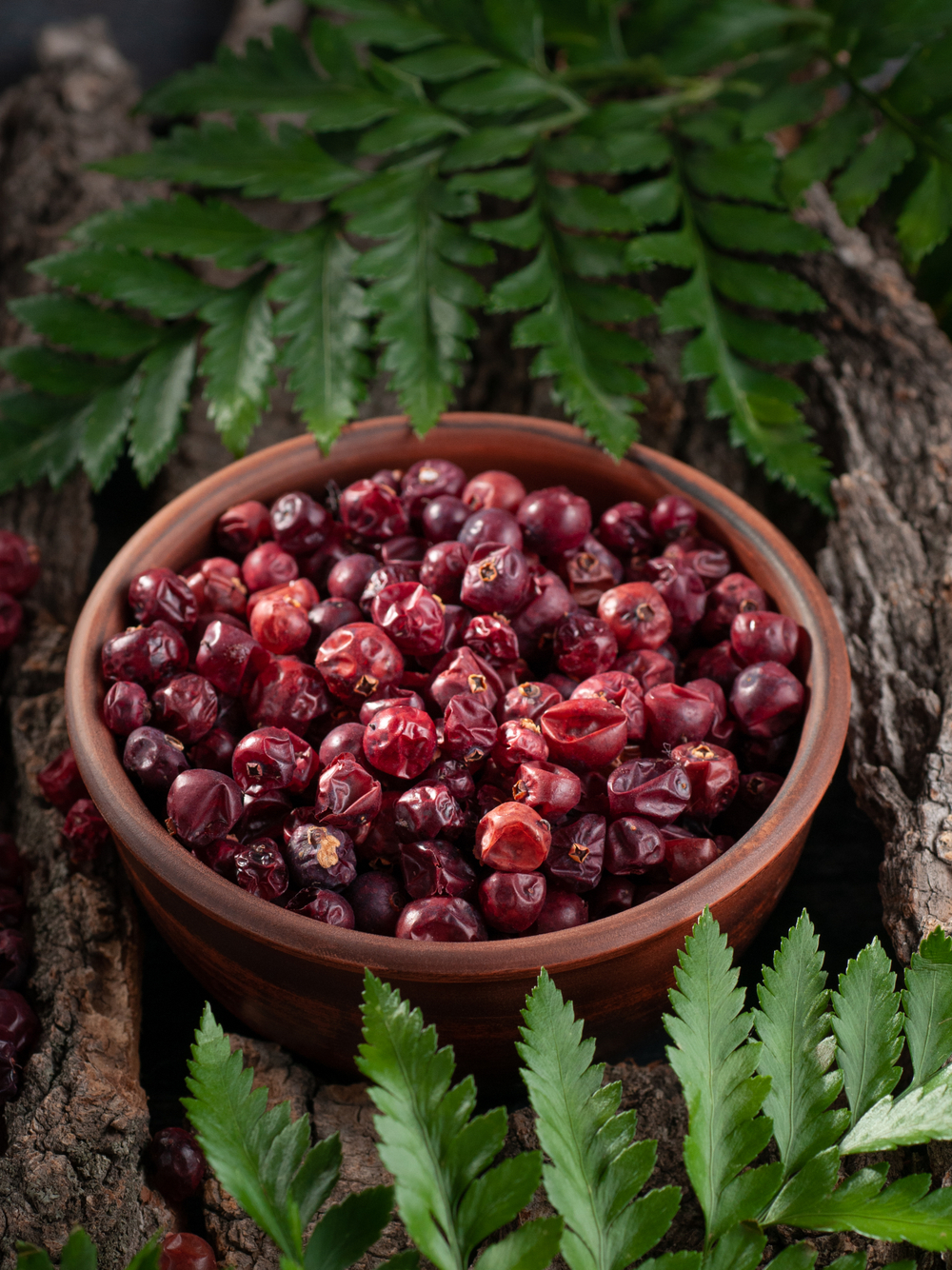 Клюква Алтайская "Таёжная"