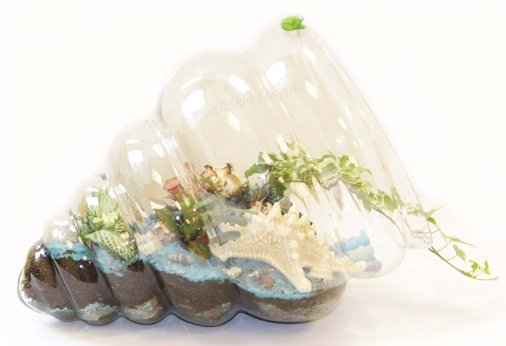 Флорариум сад в стекле с ракушками, цветным песком и морской звездой для декора интерьера