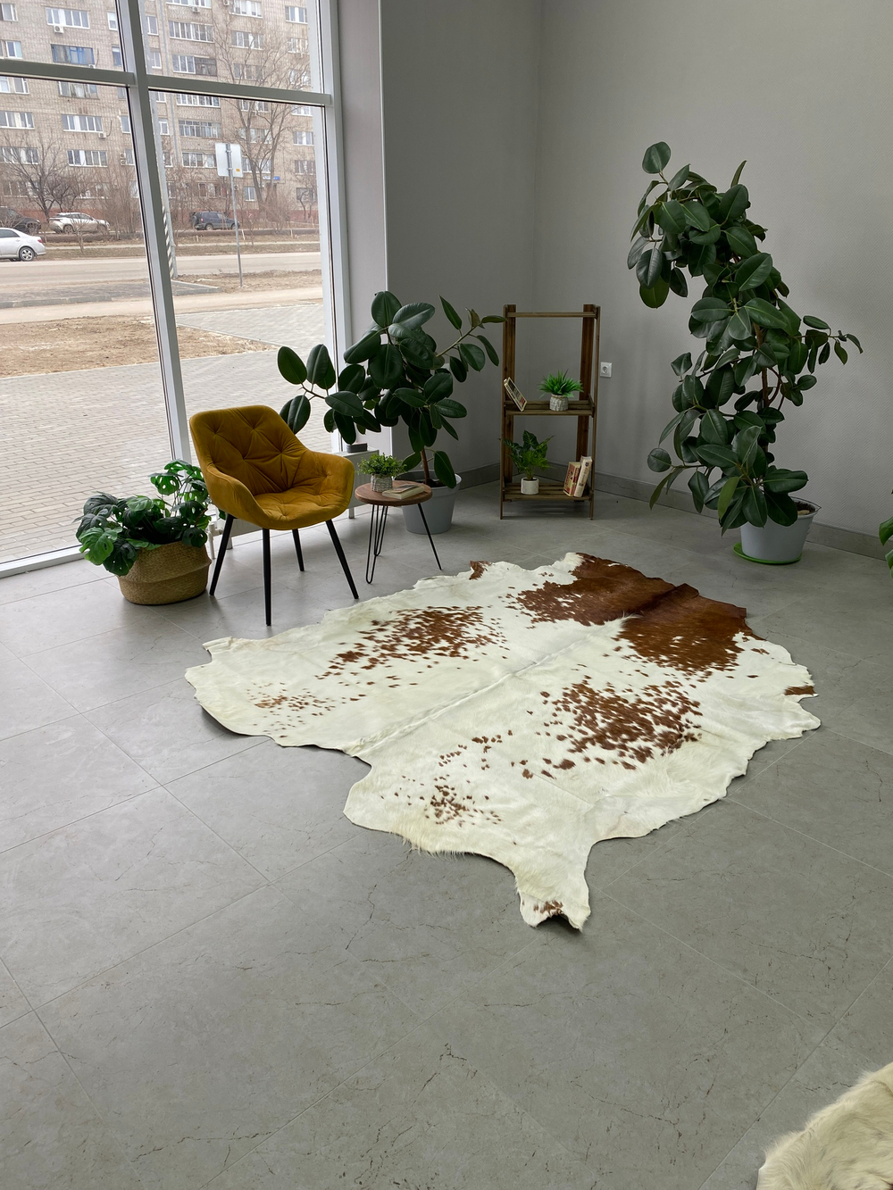 Коровья шкура на пол натуральная. 200 х 190 см