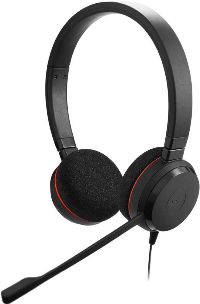 Наушники Jabra Evolve 20 USB C/A MS Stereo черный Наушники Jabra Evolve 20 USB C/A MS Stereo черный