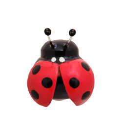 БК-12 Магнит «Божья коровка с крыльями» 20мм