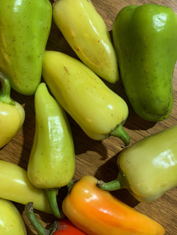 Перец сладкий зелёный