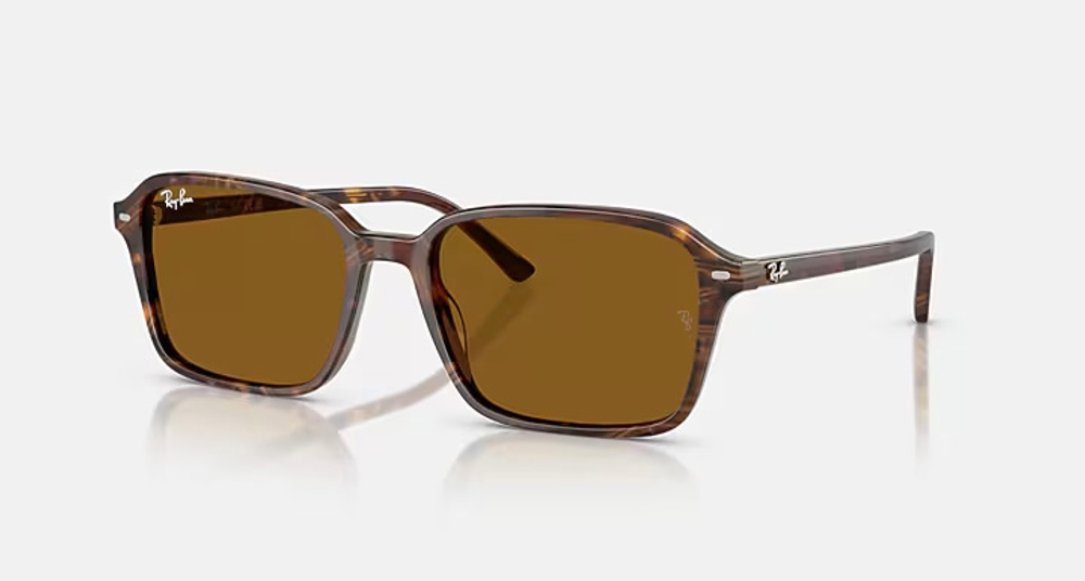 RAY-BAN RAIMOND RB2231 141833