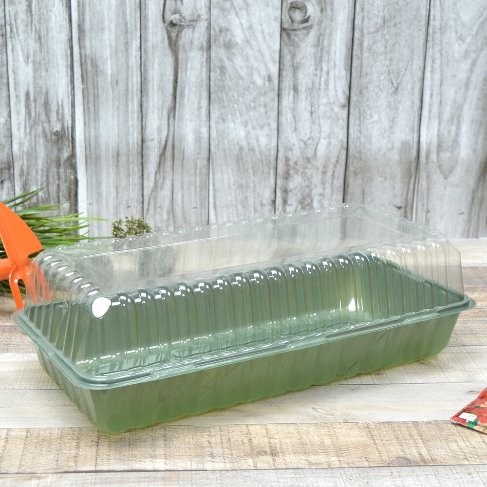 Парник мини для рассады 3 места 44*16*6,5см