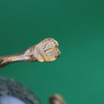 Бронзовая статуэтка «Верблюд»