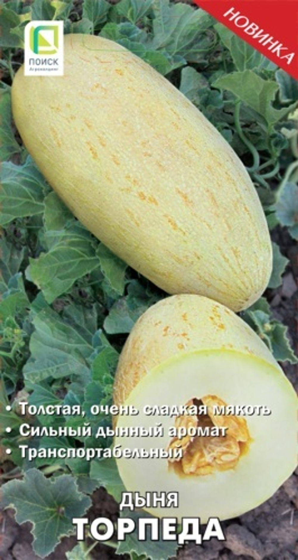 дыня Торпеда