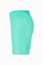 Шорты Nike Dry Park III Junior