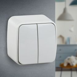 3-104-01 Intro Выключатель двойной, 10А-250В, IP20, ОУ, Polo, белый | Intro Polo