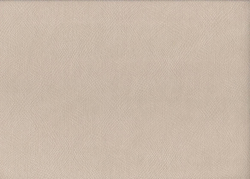 Велюр Карат 02