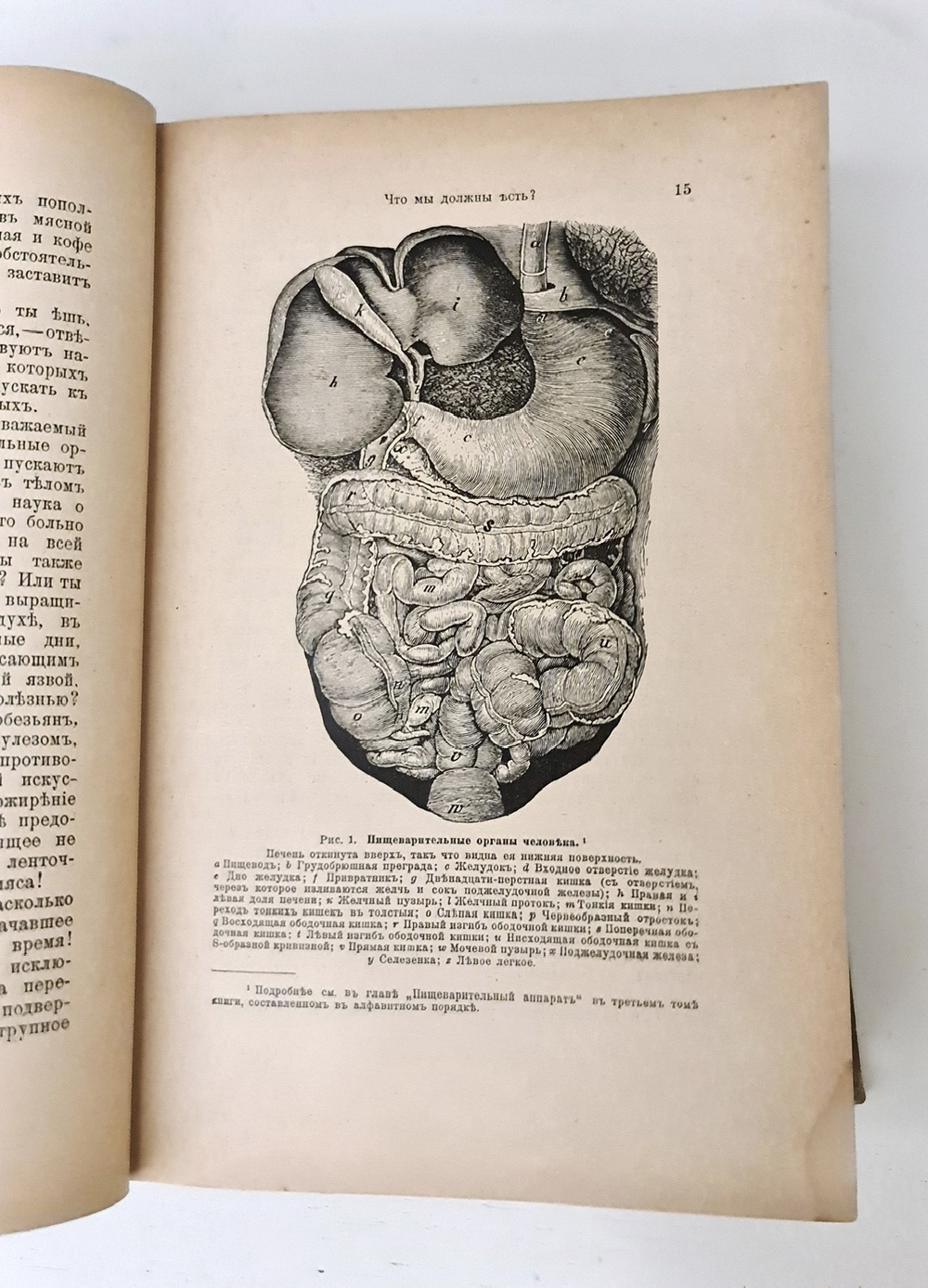 "Новый способ лечения. Настольная книга для здоровых и больных". Платен М.