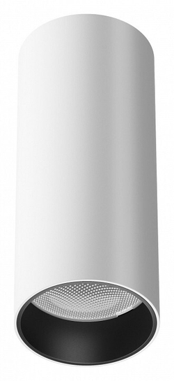 Накладной светильник Maytoni Technical C056CL-L12W4K-W-W