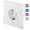 Розетка умная встраиваемая HOMMYN zigbee RKNWOZ01W