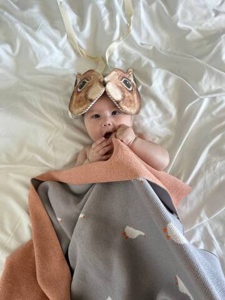 Вязаный плед simple гуси