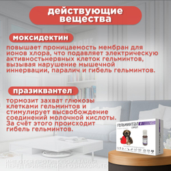 Сироп от гельминтов, профилактика дирофиляриоза для собак менее 10кг Гельминтал (Neoterica), 10мл. Празиквантел/Моксидектин