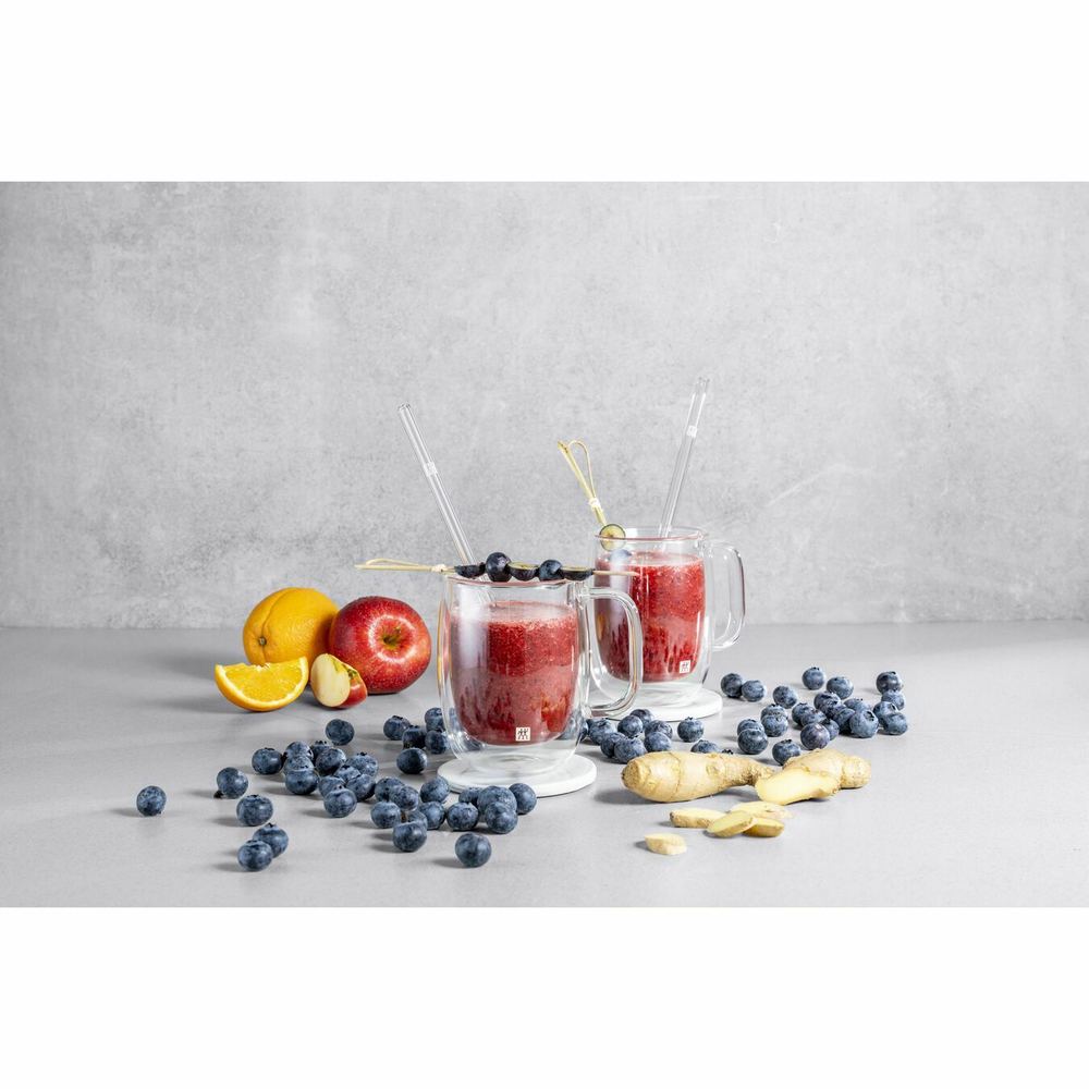 Zwilling - Набор из двух чашек Sorrento для латте макиато 450 мл с ручкой / артикул   39500-114-0  / GTIN 4009839381188