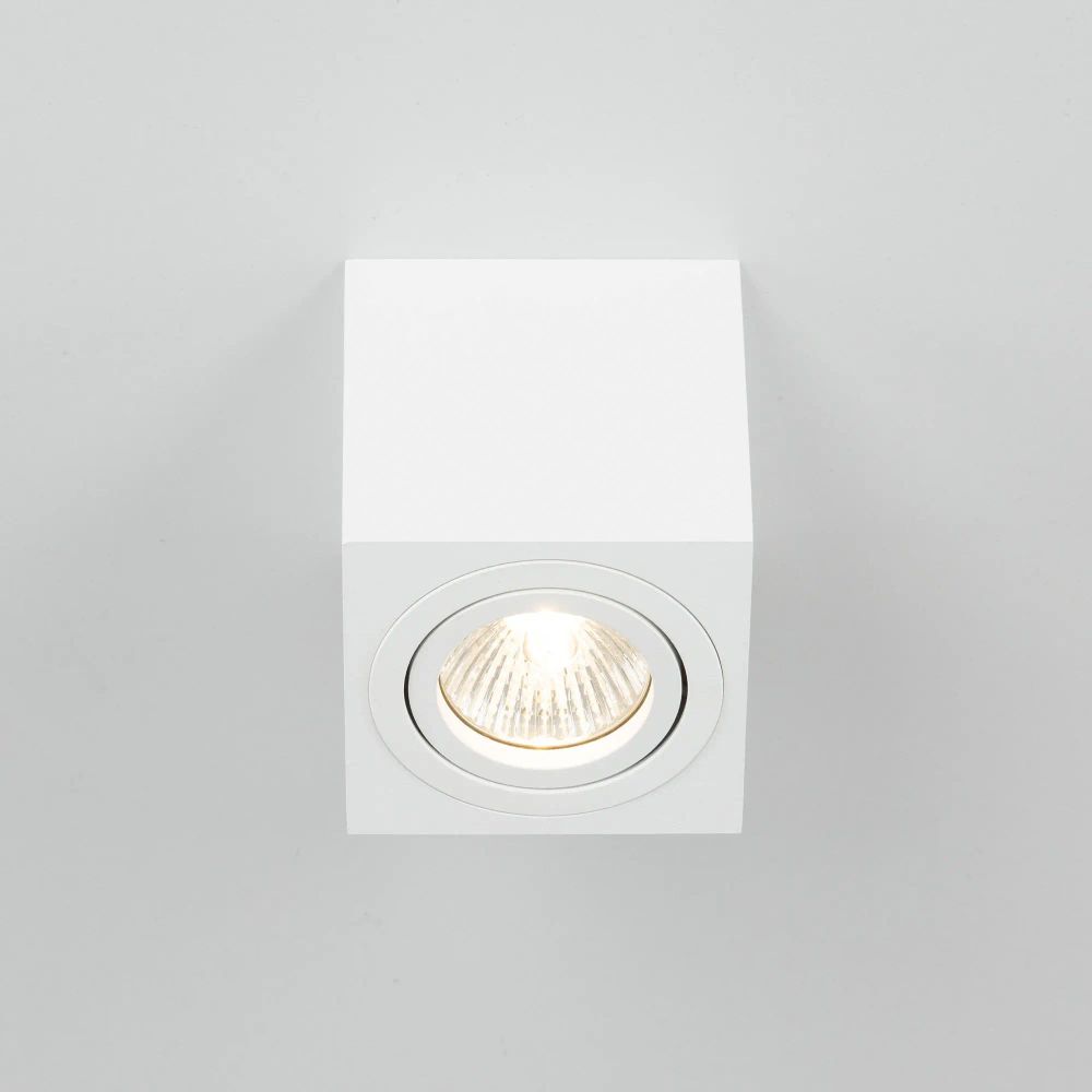 Citilux Дюрен CL538211 Светильник накладной поворотный Белый