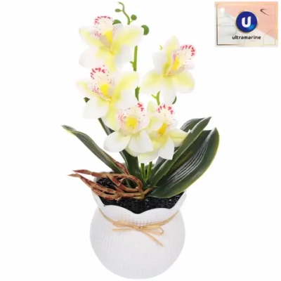 Цветочная композиция «Орхидея» 10*28см белая в пластиковом горшке