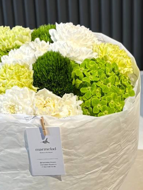 собран сегодня #01