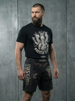 Комплект "Горыныч 2"