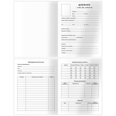 Дневник 5-11 кл. 48л. твердый "Urban style" (BG)