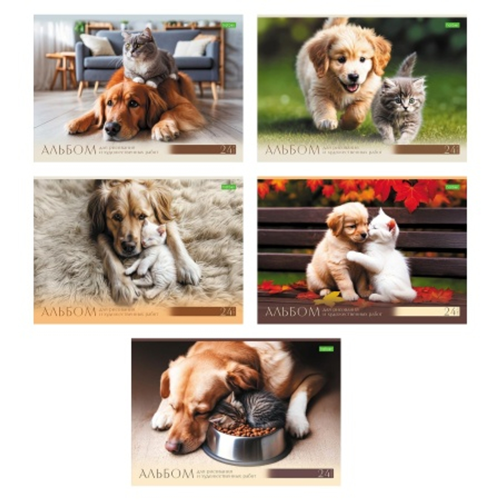 cca5f9ac3681a4f84de3d0da6fc6d4dd