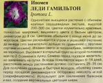 Ипомея Леди Гамильтон 0,3 г СМЦ-517